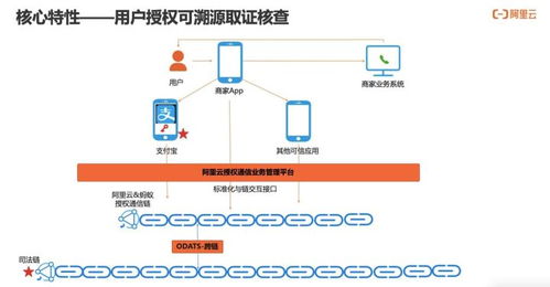 如何實(shí)現(xiàn)用戶通信授權(quán)的可信、可知、可追溯 通信授權(quán)服務(wù)技術(shù)解讀與信息系統(tǒng)集成