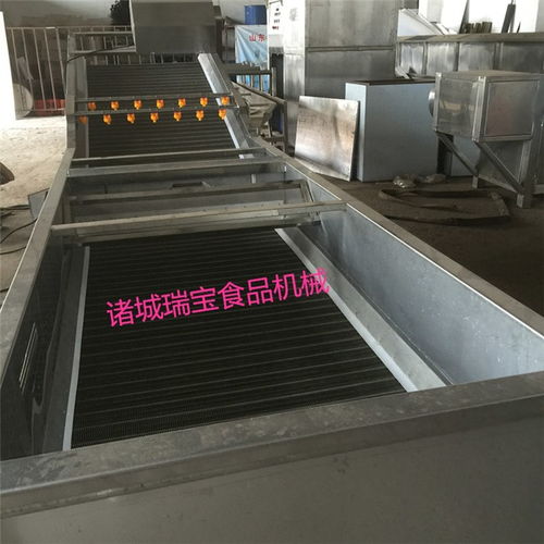 高壓洗果機(jī)商用 洗果機(jī)商用 瑞寶食品機(jī)械