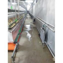 供應(yīng)育雛專用水暖風(fēng)機(jī) 雞舍加溫設(shè)備水暖爐配套暖風(fēng)機(jī)